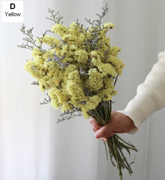Natural Dried Flower Bunches, Dried Floral, Dried Flowers, A Bunch Dried Myosotis Flowers with Limoniums-Grace Painting Crafts