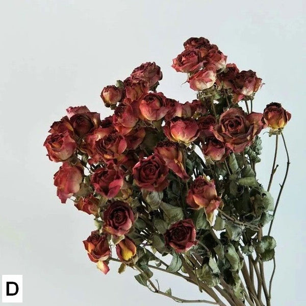 Red Yellow Purple Dried Rose Floral, Dried Rose Flower Bouquet, A Bouquet of Dried Rose Flowers, Natural Dried Rose Flower Bunches, A Bunch Dried Rose Flowers-Grace Painting Crafts