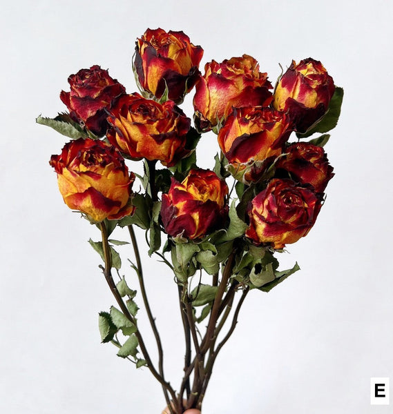 Dried Rose Floral Bouquet, Dried Rose Flowers, Natural Dried Rose Flower Bunches, A Bunch Dried Rose Flowers, Red Yellow Purple Dried Rose Flowers-Grace Painting Crafts