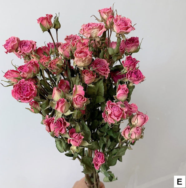 Dried Rose Flower Bouquet, A Bouquet of Dried Rose Flowers, Natural Dried Rose Flower Bunches, A Bunch Dried Rose Flowers, Red Yellow Purple Dried Rose Floral-Grace Painting Crafts