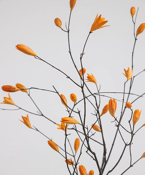 Magnolia Long Twigs, Natural Decorations, Dried Magnolia Branch, Flower Arrangement, Handmade Artificial Flower, Natural Dried Branches-Grace Painting Crafts