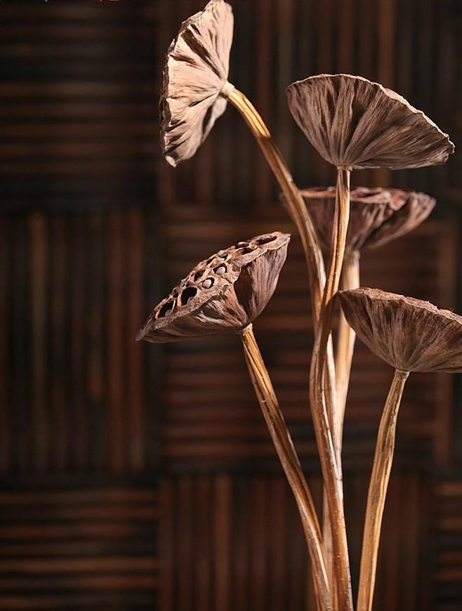 Lotus Flower Arrangement, 10 Stems Lotus Pods, Dried Lotus Pods, Natural Decor, Rustic Decor-Grace Painting Crafts