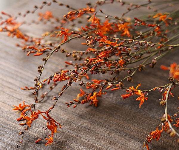 Natural Decorations, Flower Arrangement, Handmade Artificial Flower, Dried Fire Orchid Bouquet, Natural Dried Flowers-Grace Painting Crafts