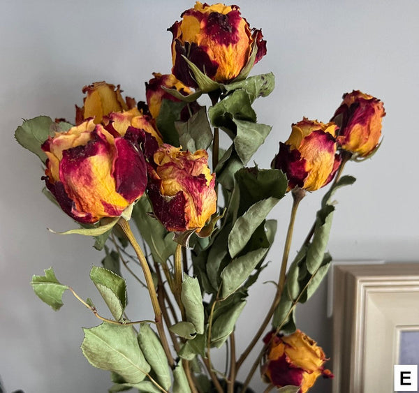 Dried Rose Floral Bouquet, Dried Rose Flowers, Natural Dried Rose Flower Bunches, A Bunch Dried Rose Flowers, Red Yellow Purple Dried Rose Flowers-Grace Painting Crafts