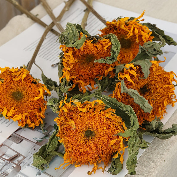 Natural Decorations, A Bunch of Sunflowers, Flower Arrangement, Handmade Artificial Flowers for Home Decor, Natural Dried Sunflower Stems-Grace Painting Crafts