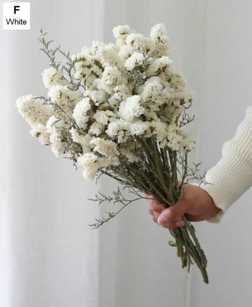 Natural Dried Flower Bunches, Dried Floral, Dried Flowers, A Bunch Dried Myosotis Flowers with Limoniums-Grace Painting Crafts