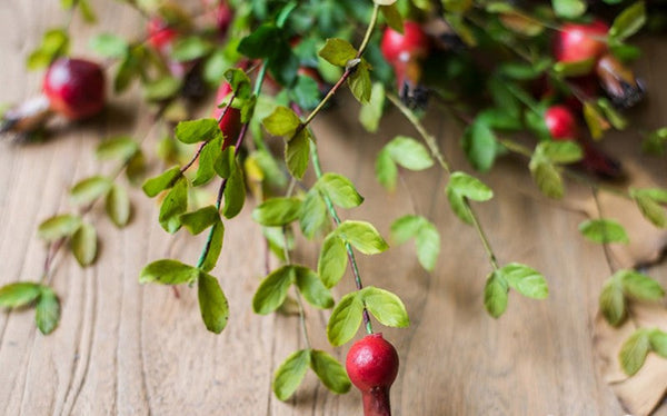 Pomegranate Branch, Beautiful Flower Arrangement Ideas for Home Decoration, Table Centerpiece, Artificial Fruit Plants, Spring Artificial Floral for Dining Room-Grace Painting Crafts