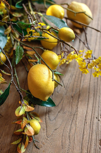 Lemon Branch, Fragrans stems, Fern leaf, Creative Flower Arrangement Ideas for Home Decoration, Unique Artificial Flowers, Simple Artificial Floral for Dining Room Table-Grace Painting Crafts