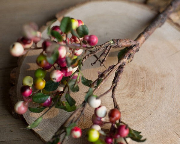 Cranberry Fruit Branch, Flower Arrangement Ideas for Living Room, Unique Artificial Flowers for Home Decoration, Spring Artificial Floral for Bedroom-Grace Painting Crafts