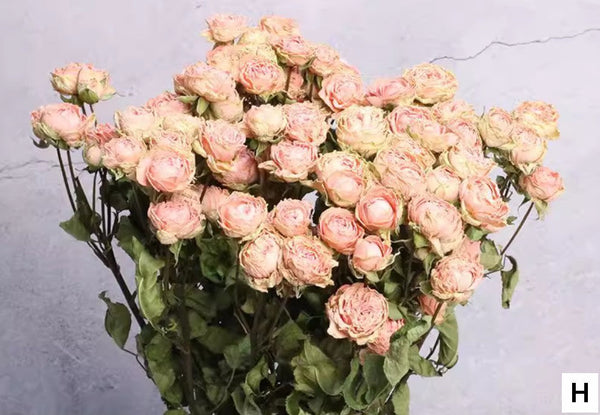 Red Yellow Purple Dried Rose Floral, Dried Rose Flower Bouquet, A Bouquet of Dried Rose Flowers, Natural Dried Rose Flower Bunches, A Bunch Dried Rose Flowers-Grace Painting Crafts