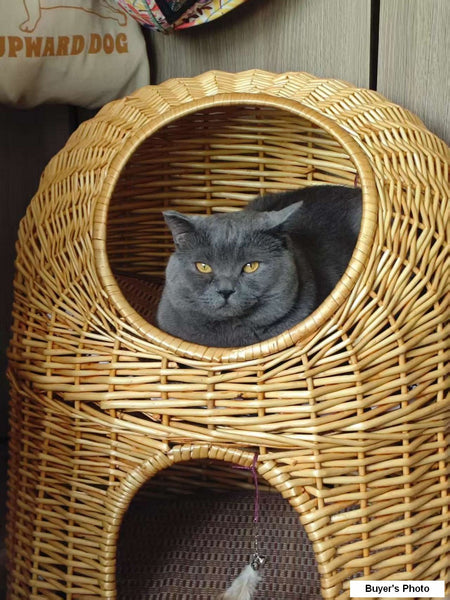 Large Double-Layer Cat Bed, Wicker Cat House Basket with Washable Cushion for Indoor Cats and Dogs-Grace Painting Crafts