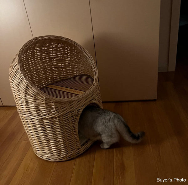 Double-Layer Cat Bed, Large Cat House Basket with Washable Cushion for Indoor Cats and Dogs-Grace Painting Crafts