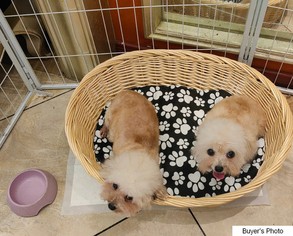 Natural Wicker Dog Bed with Washable Cushion for Indoor Cats and Dogs, Hand woven Rattan Cat Beds-Grace Painting Crafts