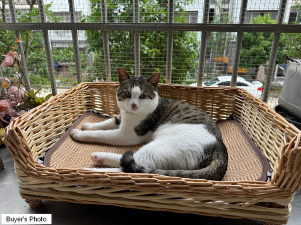 Hand Woven Rattan Cat Beds, Extra Large Natural Wicker Dog Bed with Washable Cushion for Indoor Cats and Dogs-Grace Painting Crafts