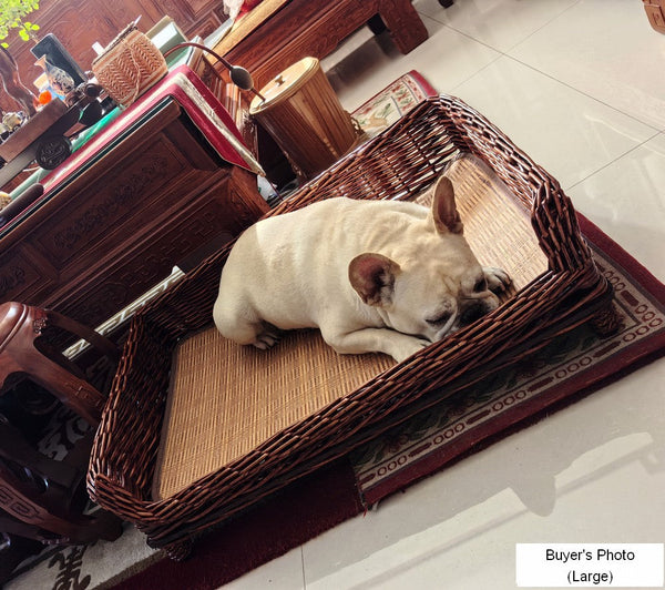 Large Natural Wicker Dog Bed with Washable Cushion for Indoor Cats and Dogs, Hand Woven Rattan Cat Beds-Grace Painting Crafts