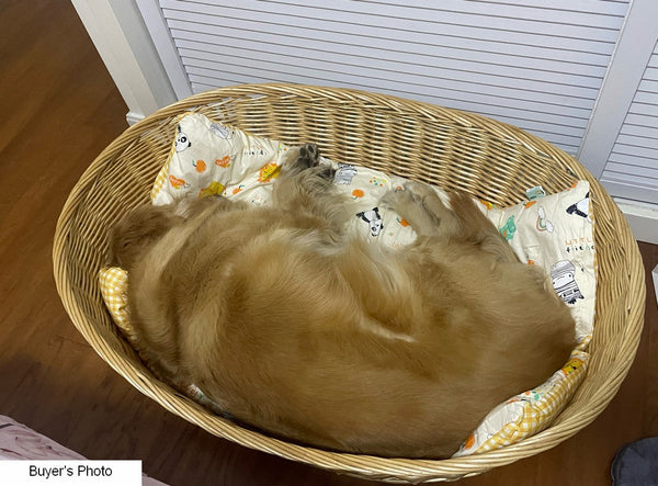 Natural Wicker Dog Bed with Washable Cushion for Indoor Cats and Dogs, Hand woven Rattan Cat Beds-Grace Painting Crafts