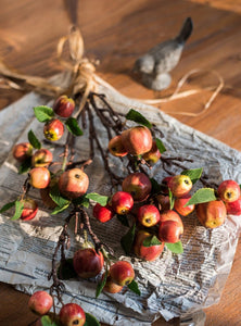 Beautiful Modern Flower Arrangement Ideas for Home Decoration, Apple Branch, Fruit Branch, Table Centerpiece, Simple Artificial Floral for Dining Room-Grace Painting Crafts