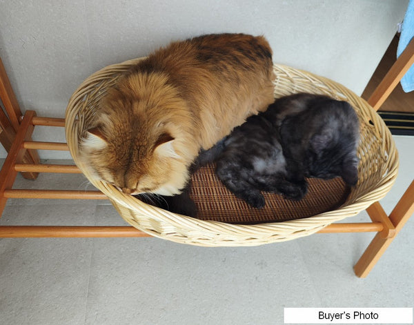 Natural Wicker Dog Bed with Washable Cushion for Indoor Cats and Dogs, Hand woven Rattan Cat Beds-Grace Painting Crafts