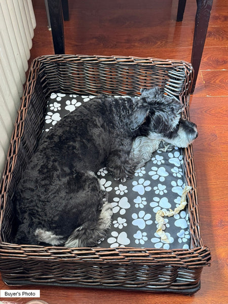 Hand Woven Rattan Cat Beds, Extra Large Natural Wicker Dog Bed with Washable Cushion for Indoor Cats and Dogs-Grace Painting Crafts