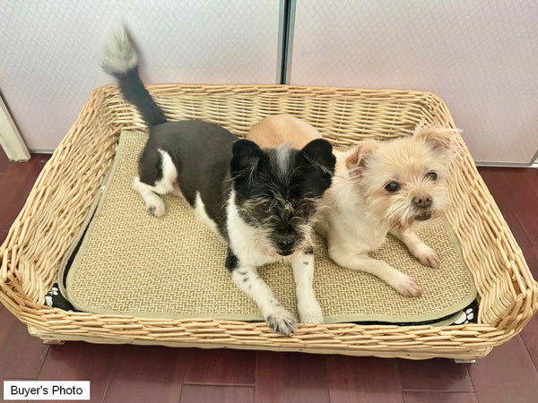 Hand Woven Rattan Cat Beds, Extra Large Natural Wicker Dog Bed with Washable Cushion for Indoor Cats and Dogs-Grace Painting Crafts
