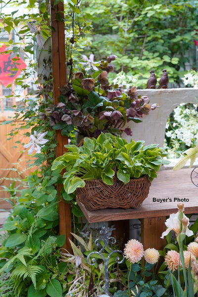 Large Picnic Food Basket with Handle, Natural Hand-woven Wicker Storage Basket, Natural Fruit Baskets, Kitchen Storage Baskets, Willow Weaving Baskets with Handle-Grace Painting Crafts