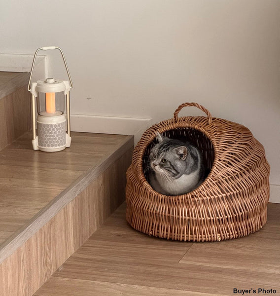 Indoor Cat Bed, Natural Wicker Cat House Basket with Washable Cushion for Indoor Cats and Dogs-Grace Painting Crafts