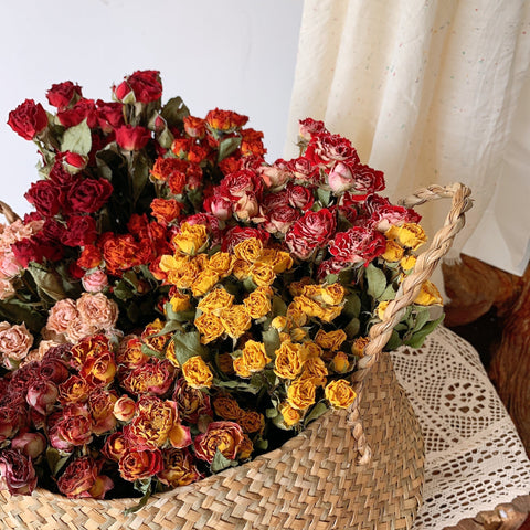 Dried Rose Flower Bouquet, A Bouquet of Dried Rose Flowers, Natural Dried Rose Flower Bunches, A Bunch Dried Rose Flowers, Red Yellow Purple Dried Rose Floral-Grace Painting Crafts