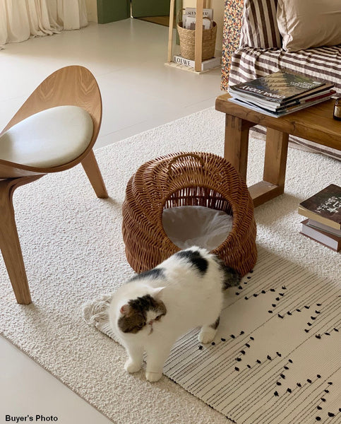 Indoor Cat Bed, Natural Wicker Cat House Basket with Washable Cushion for Indoor Cats and Dogs-Grace Painting Crafts