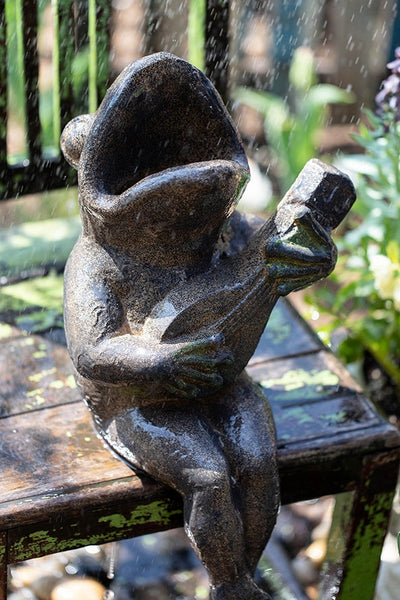 Garden Animal Statues, Unique Modern Garden Sculptures, Frog Flowerpot for Garden Decoration, Beautiful Cute Frog Statues, Creative Villa Outdoor Gardening Ideas-Grace Painting Crafts