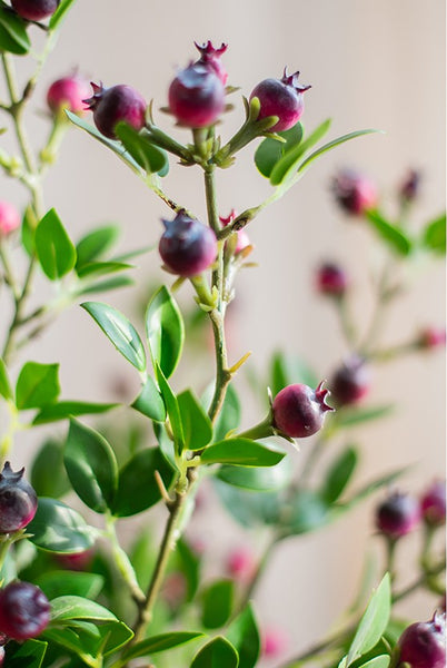 Simple Artificial Flowers for Living Room, Blueberry Fruit Branch, Flower Arrangement Ideas for Home Decoration, Spring Artificial Floral for Bedroom-Grace Painting Crafts